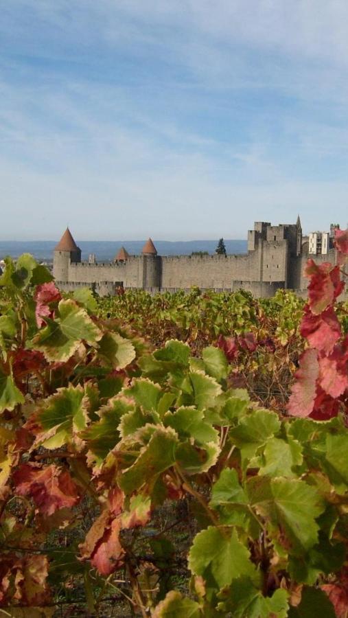 Chez Tatie Menie Bed & Breakfast Fraissé-des-Corbières Bagian luar foto